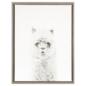 24" x 18" Hairy Alpaca Framed Canvas Art - Uniek - 1 of 3