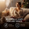 Gya Labs Essential Oils for Diffuser - 0.34 Fl Oz - Fall Pine Oil for Skin, Body Massages & Candle Making Scent - 3 of 4