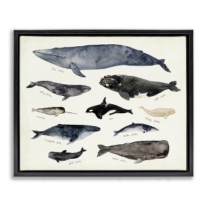 Stupell Industries Vintage Nautical Chart of Whales Ocean Life Floating Frame Canvas Art - 1 of 4
