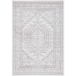 Adirondack ADR108 Non-Shedding Power Loomed Indoor Rugs - Safavieh - 1 of 4