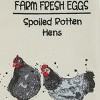 Park Designs Farm Fresh Eggs Print and Embroidered Dishtowel Set of 2 - 3 of 3