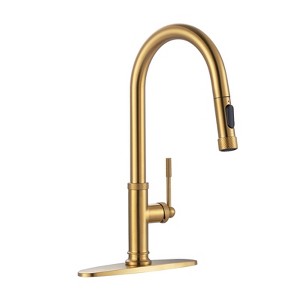 WOWOW Single Handle Pull Down Sprayer Kitchen Faucet with Advanced Spray in Gold - 1 of 4