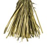Vickerman 26" Dried Setarea Bunch, 6 oz. - 3 of 3