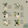 Maia Shop 3.5ft Artificial Palm Tree, Fake Plants for Home Decor, Indoor Tropical Decoration - 2 of 4