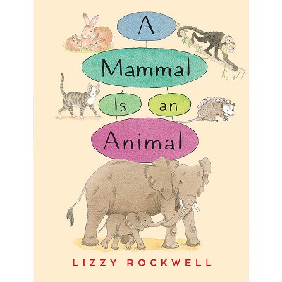 A Mammal Is an Animal - by  Lizzy Rockwell (Paperback)