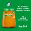 Beech-Nut Non-GMO Naturals Apples Baby Food Jar 4oz + 4oz Butternut Squash Baby Food Jar - 2 of 4