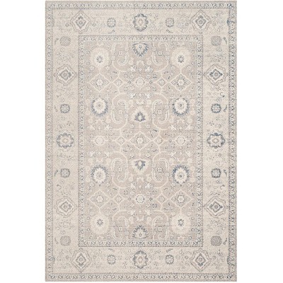 Patina PTN322 Power Loomed Area Rug Taupe / Ivory 5'-1" X 7'-6" - Safavieh.