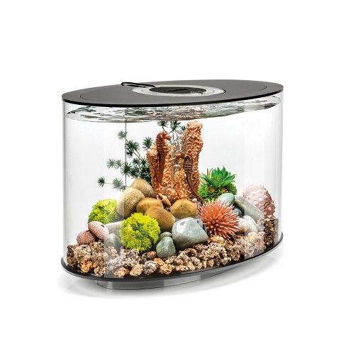 Inloggegevens verdrietig Bewust worden Biorb Loop 15 Aquarium With Standard Light - Black : Target