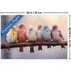 Trends International Reinders: Animals - Pastel Birds Unframed Wall Poster Print White Mounts Bundle 22.375" x 34" - 3 of 4