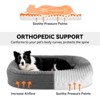 JOEJOY Orthopedic Dog Beds, Egg-Crate Memory Foam Pet Couch Bed with Bolster Sides, Waterproof Lining, Removable - 3 of 4