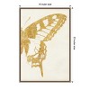 Amanti Art Butterfly Wings II by Wild Apple Portfolio Canvas Wall Art Print Framed 16 x 23-in. - 4 of 4
