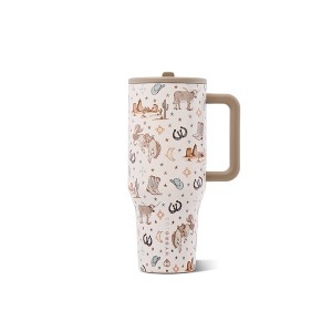 HydroJug Traveler 32oz Mesa Western : Target