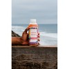 JuneShine Passionfruit Orange Guava Kombucha - 16 fl oz - 4 of 4