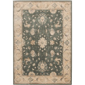 Vintage VTG143 Power Loomed Area Rug  - Safavieh - 1 of 1