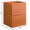 Modway Scenic 18" Wall-Mount Bathroom Vanity Cabinet (Sink Basin Not Included) - 3 of 4