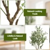 Artificial Olive Tree with Fruits in Pot - Realistic Faux Olive Plant with Lifelike Leaves for Indoor & Outdoor,  Fake Tree for Home, Office Decor - 3 of 4