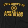 Men's University of Arkansas at Pine Bluff Official Circle Logo T-Shirt - 2 of 4