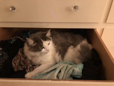 Guest review image 1 of 1, zoom in