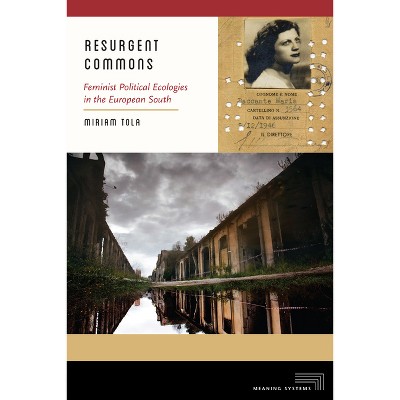 Resurgent Commons - (Meaning Systems) by Miriam Tola