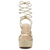 Allegra K Women's Espadrilles Platform Wedges Heel Lace Up Sandals - 2 of 4