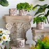 NAYSAYE Planter Set of 4 Gray Sand and Cement Planter with Brown Botanical Motifs for Indoor Outdoor Garden, Brown and Gray, 10"*10"*5" - 4 of 4