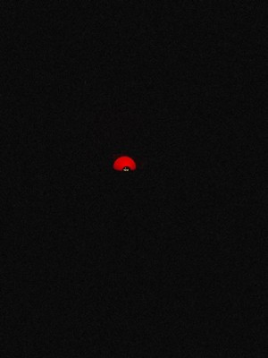 Guest review image 4 of 5, zoom in