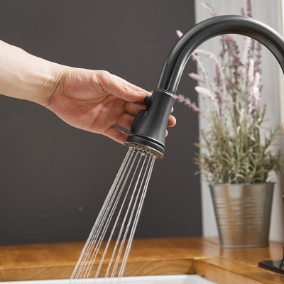 Oil-Rubbed Bronze Pull-Down Kitchen Faucet with Spray