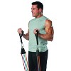 Pro gym extreme online resistance bands