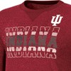NCAA Indiana Hoosiers Women's Crew Neck Fleece Sweatshirt - 3 of 3