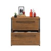 Lateral File, Brown finish - 3 of 4