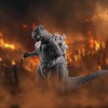 Banpresto Banpresto Toho Monster Series | 1954 Roar Attack Godzilla (Grey) - 4 of 4