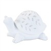 Etched Frog and Turtle Figurine (Set of 2) - 4 of 4