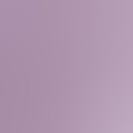 mauve rose
