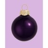 Northlight Pearl Finish Glass Christmas Ball Ornaments - 2.75" (70mm) - Purple - 12ct - 2 of 4