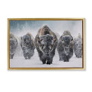 Stupell Industries Indomitable Bison in Snow Black Floater Framed Canvas Wall Art - 1 of 4
