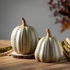 7.25"H Sullivans Brushed Green Pumpkin Set of 2  Blue - 3 of 4