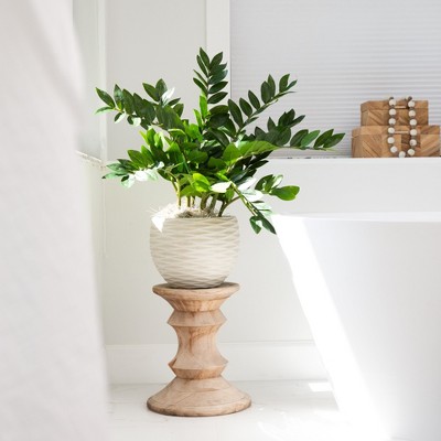 Lush Green Artificial Zamioculcas Plant in Black Pot