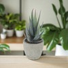 Unique Bargains Artificial Plants Mini Aloe-Vera in Pulp Plastic 2.76"x2.76"x5.51" 1 Pc - 2 of 4