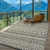 Acekool Reversible Outdoor Rug, Waterproof Plastic Straw Area Rug, Patio & Camping Carpet, Lightweight, Easy Clean, Portable for Deck & Backyard - 4 of 4