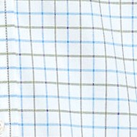 muted blue/green plaid