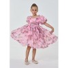 2Bunnies 3D Floral Embroidered Ruffled Tulle Girl Dress - 3 of 4