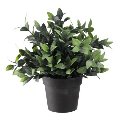 Northlight 9.5" Adorable and Decorative Artificial Green Spring Foliage in Brown Pot