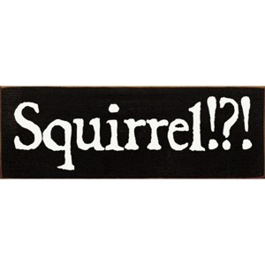 Slickblue Squirrel!? Text Sign, 3.5x10 Rustic Pine Wood Plaque, Hanging or Shelf Decor Sign, Multiple Colors - 1 of 3