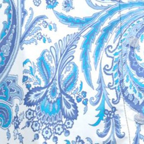 blue folklore paisley