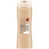 Suave Essentials Body Wash Creamy Cocoa Butter and Shea, 15 oz - 2 of 3