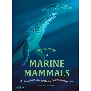 Mysteries of Marine Mammals - by  Amandine Delaunay (Hardcover) - 1 of 1