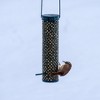 C & S Woodpecker Suet Nuggets Wild Bird Food, Resealable Bag, 27 oz - 4 of 4
