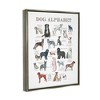 Stupell Industries Dog Alphabet Animal ABC's Framed Canvas - 3 of 3