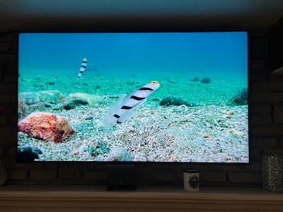 Guest review image 3 of 3, zoom in
