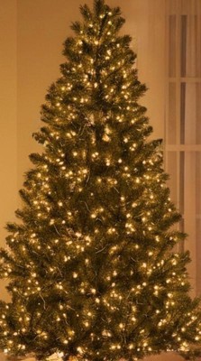 Guest review image 4 of 5, zoom in